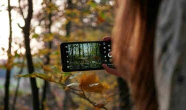 person taking photo of trees