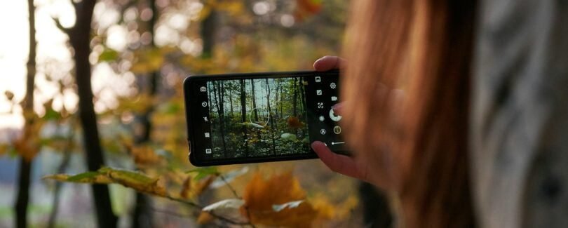 person taking photo of trees